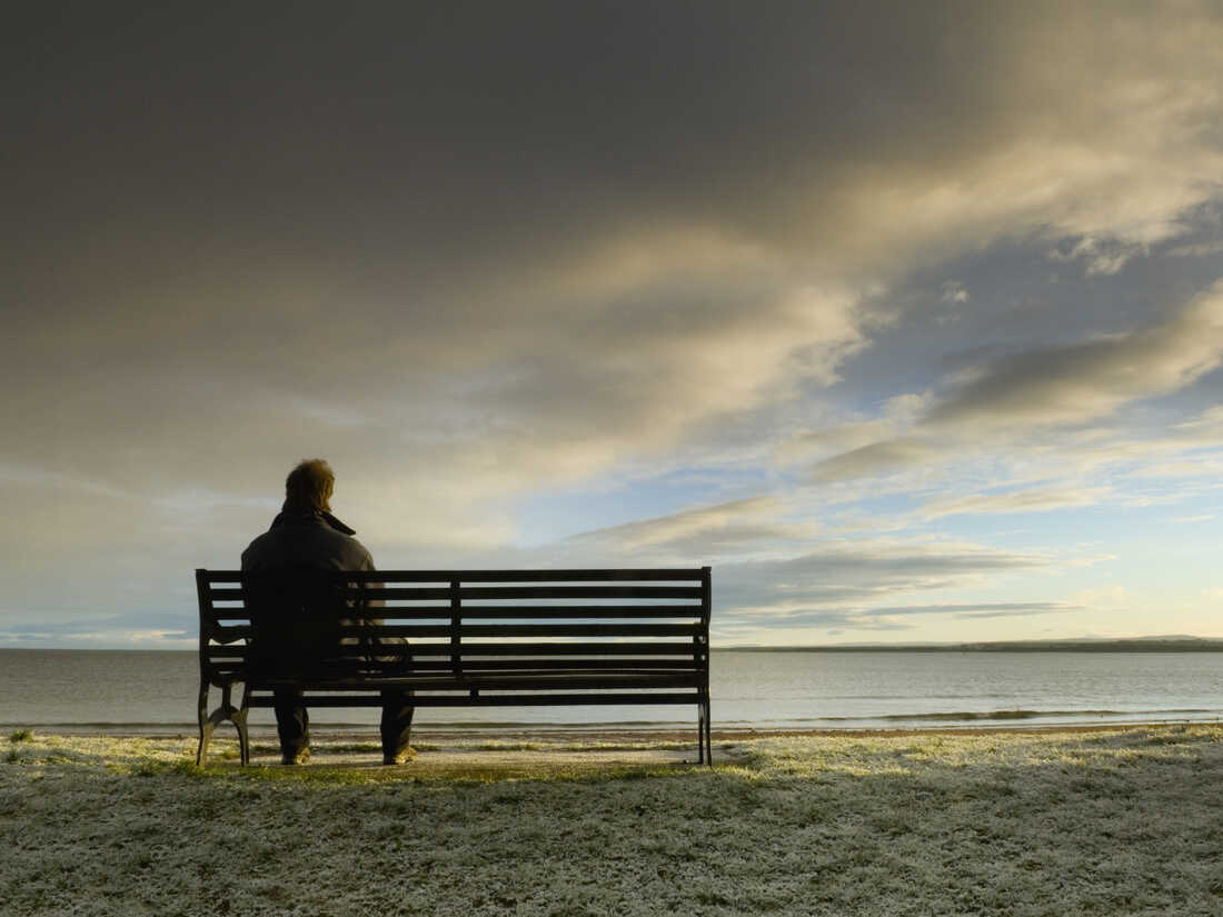 The Psychology of Loneliness: Causes, Effects, and Remedies